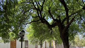 Comfort Studio | Street view - Monoambiente En Excelente Ubicación (Salta)