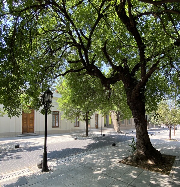 Comfort Studio | Street view
