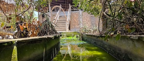Fachada de la propiedad