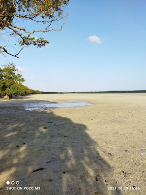 Shared Dormitory, 1 Bedroom, Balcony | Beach