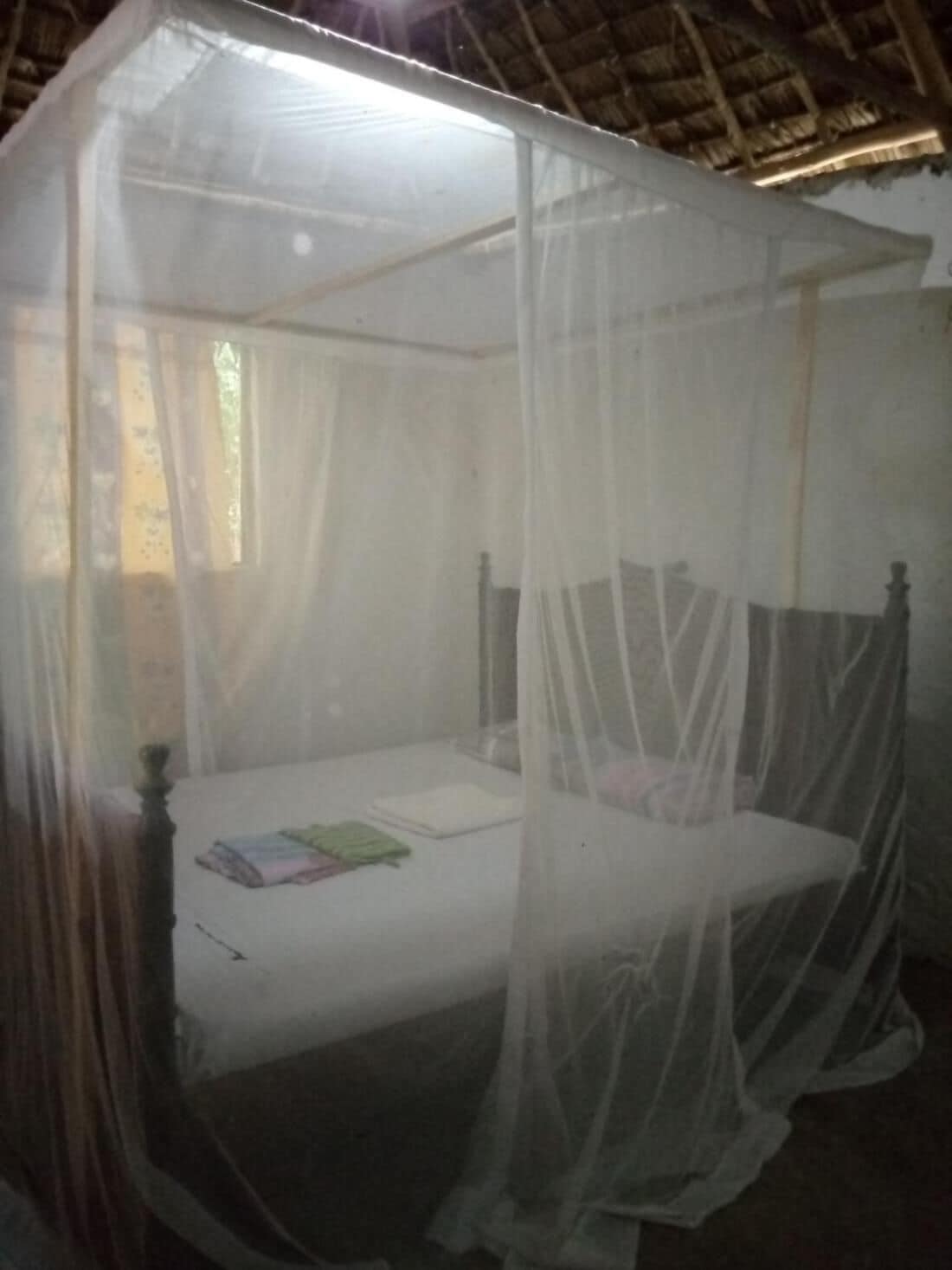 Shared Dormitory, 1 Bedroom, Balcony