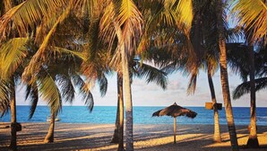 على الشاطئ، كراسي للتشمس، مناشف للشاطئ