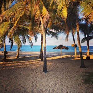 على الشاطئ، كراسي للتشمس، مناشف للشاطئ