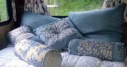 ShineOn Valley- Back Bottom Camp