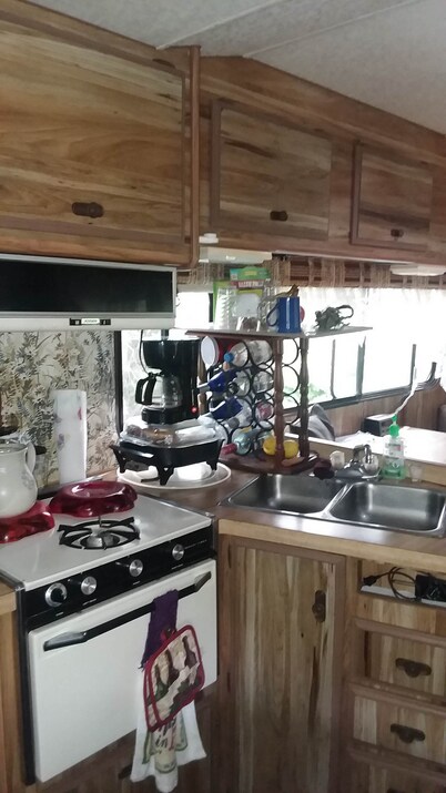 ShineOn Valley- Back Bottom Camp