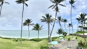 Vista de una playa con palmeras y cielo despejado.