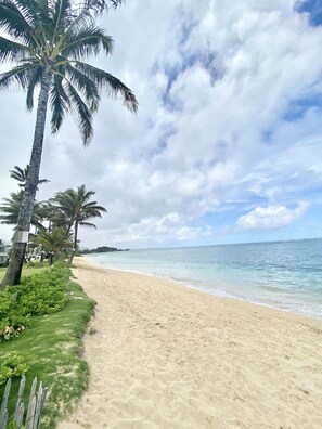On the beach, sun-loungers, beach towels -  Deluxe Beachfront Condo with a breathtaking view (Hauula)