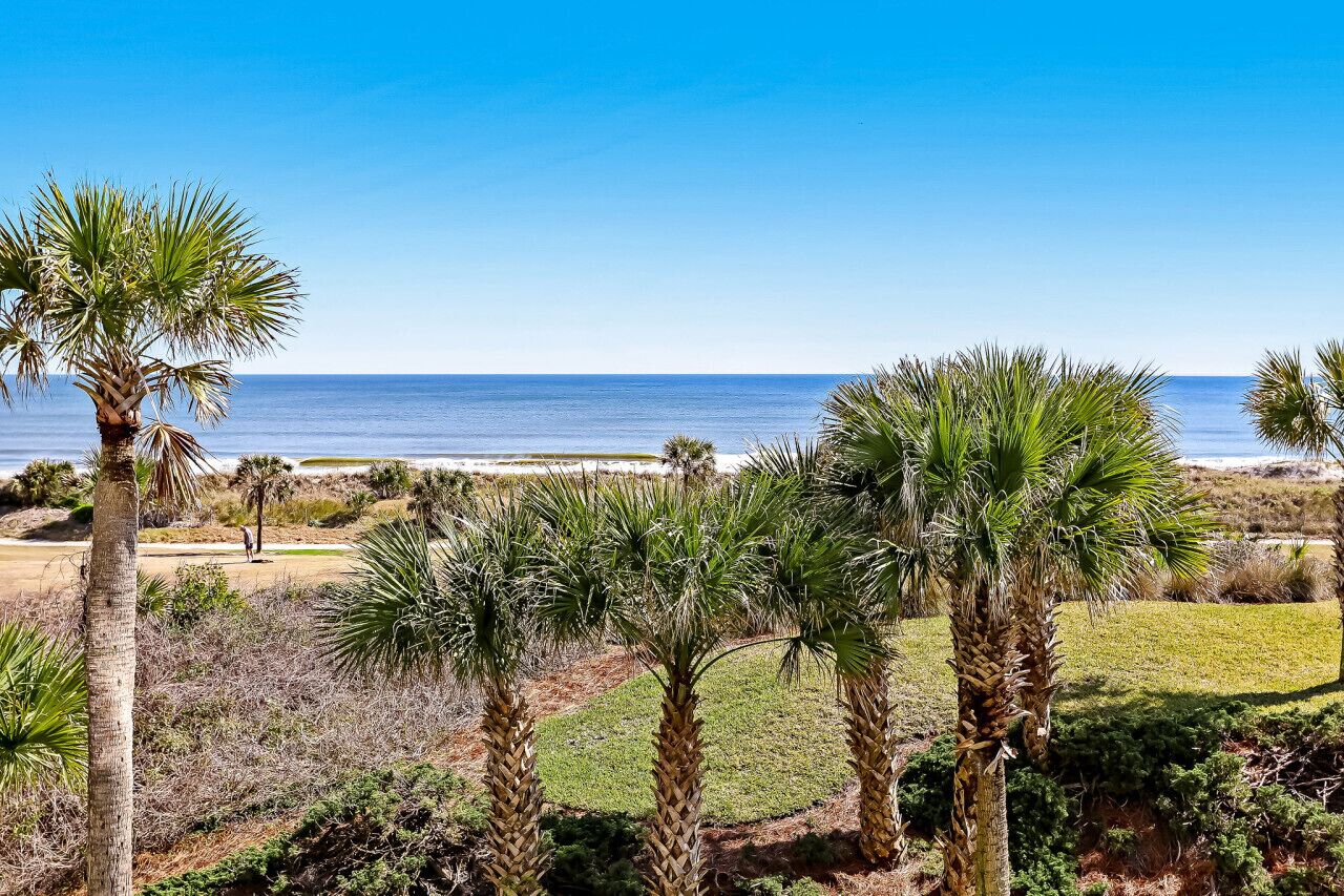 A coastal landscape with palm trees and a clear view of the ocean.