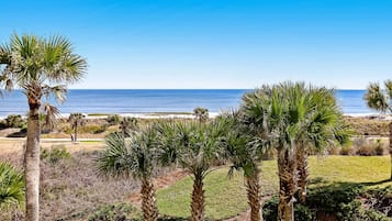 A coastal landscape with palm trees and a clear view of the ocean.