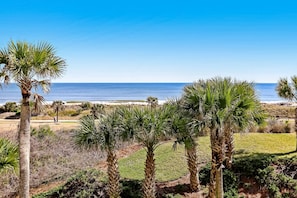 A coastal landscape with palm trees and a clear view of the ocean.