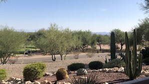 A desert landscape with cacti and sparse trees, a paved road, and distant mountains. - Southwestern Patio Home-Magnificent Mountain Views (Oro Valley)