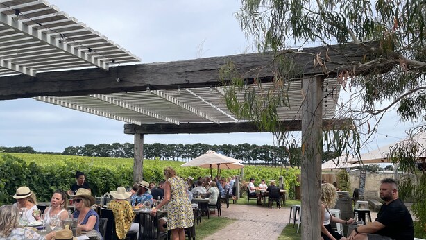 An outdoor dining area with tables and chairs under a pergola, surrounded by greenery and a vineyard in the background. - Kestrel Place (Ocean Grove)
