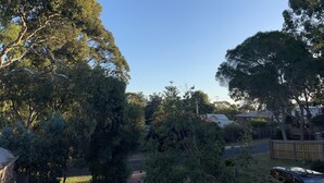 A residential area with large trees, a clear blue sky, and a road with houses in the background. - Kestrel Place (Ocean Grove)