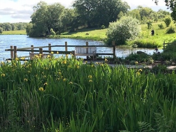 Un parque junto al río con valla de madera, un banco y abundante vegetación.