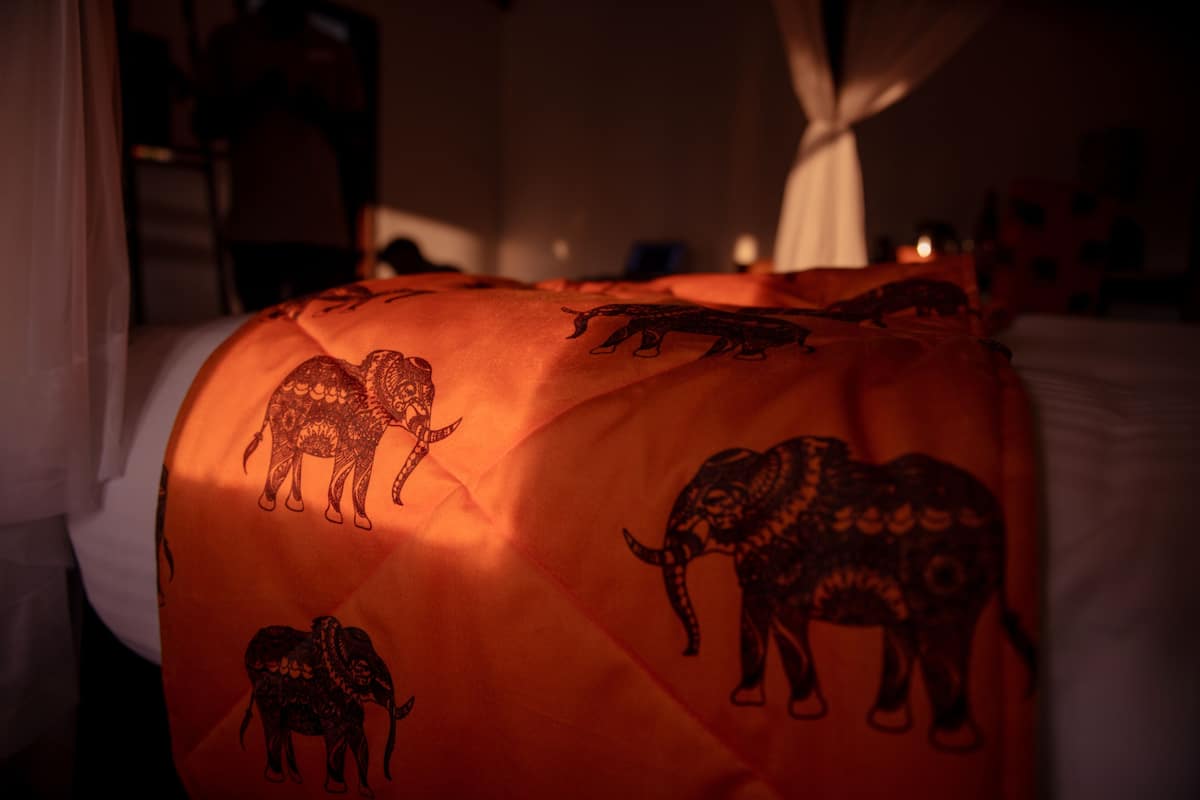 A bed with a blanket featuring elephant designs.