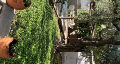 Beautiful Room in Limenaria, only five minutes away from center