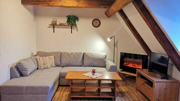 TV, fireplace