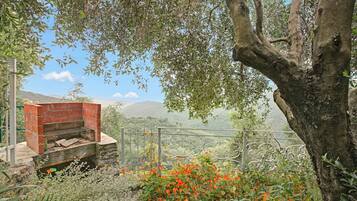 Family House, Multiple Bedrooms, Mountainside (Ca D'artista For Nature Lovers) | Property grounds