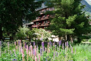 Exterior - Hotel Alpina (Zermatt)