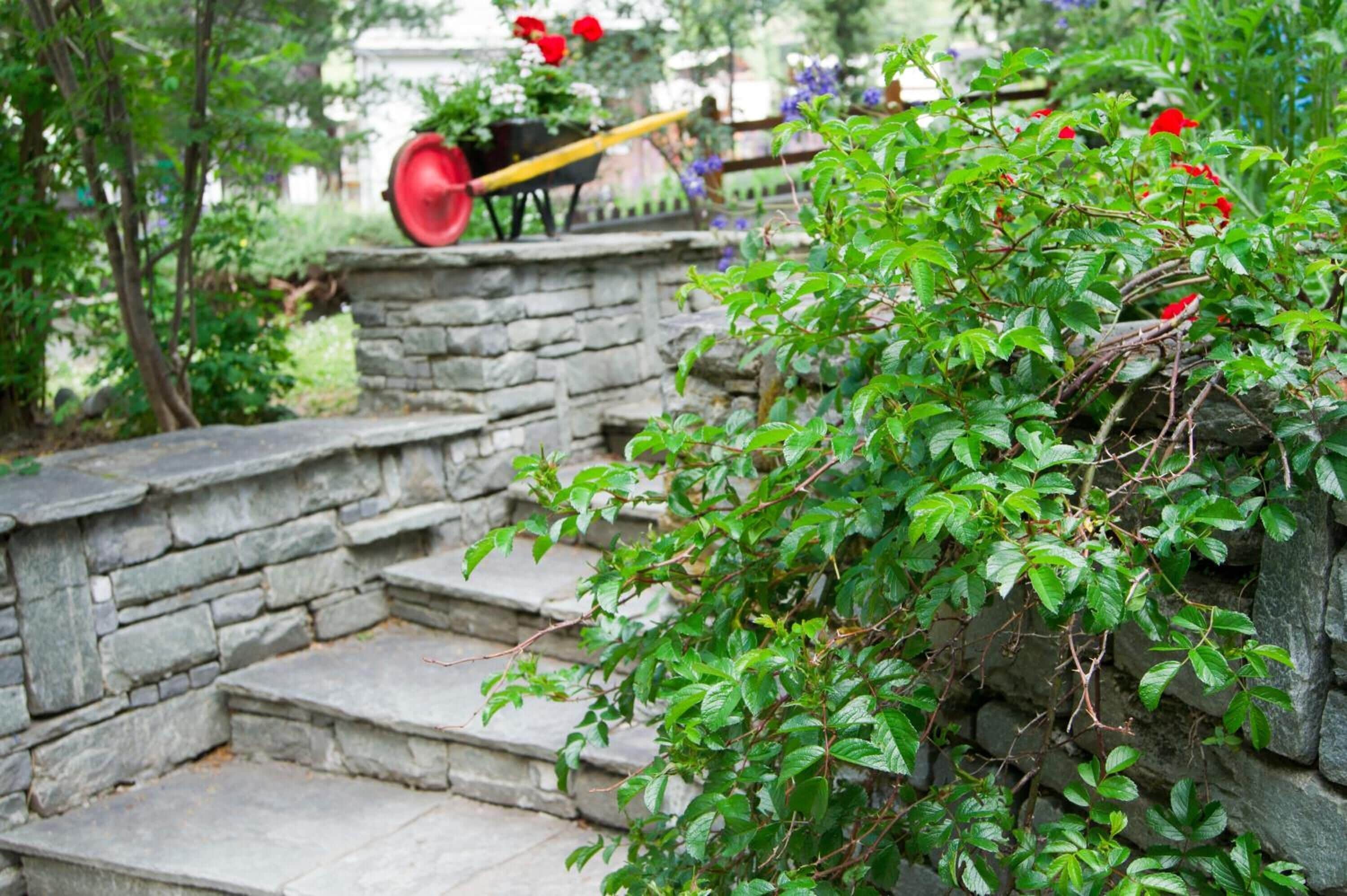 Àrea exterior de l'allotjament