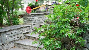 Una escalera de piedra que sube a un jardín con un carretón y plantas en macetas.