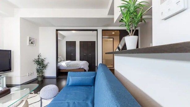 A modern living room with a blue sofa, a glass coffee table, and a potted plant. - Stardust (Sapporo)