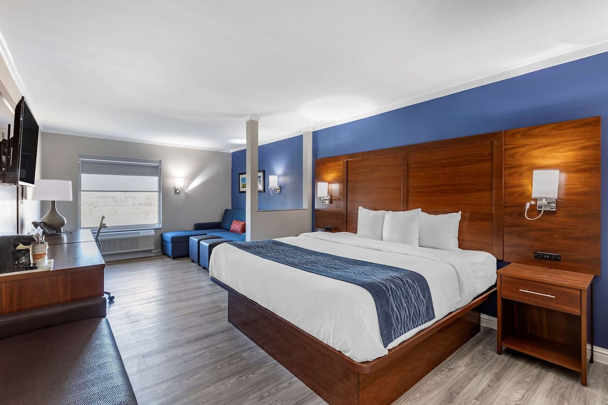 A hotel room with a large bed, a desk, a TV, and a window.