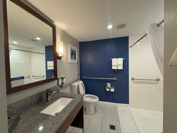Une salle de bain comprenant un lavabo, des toilettes et un espace douche.