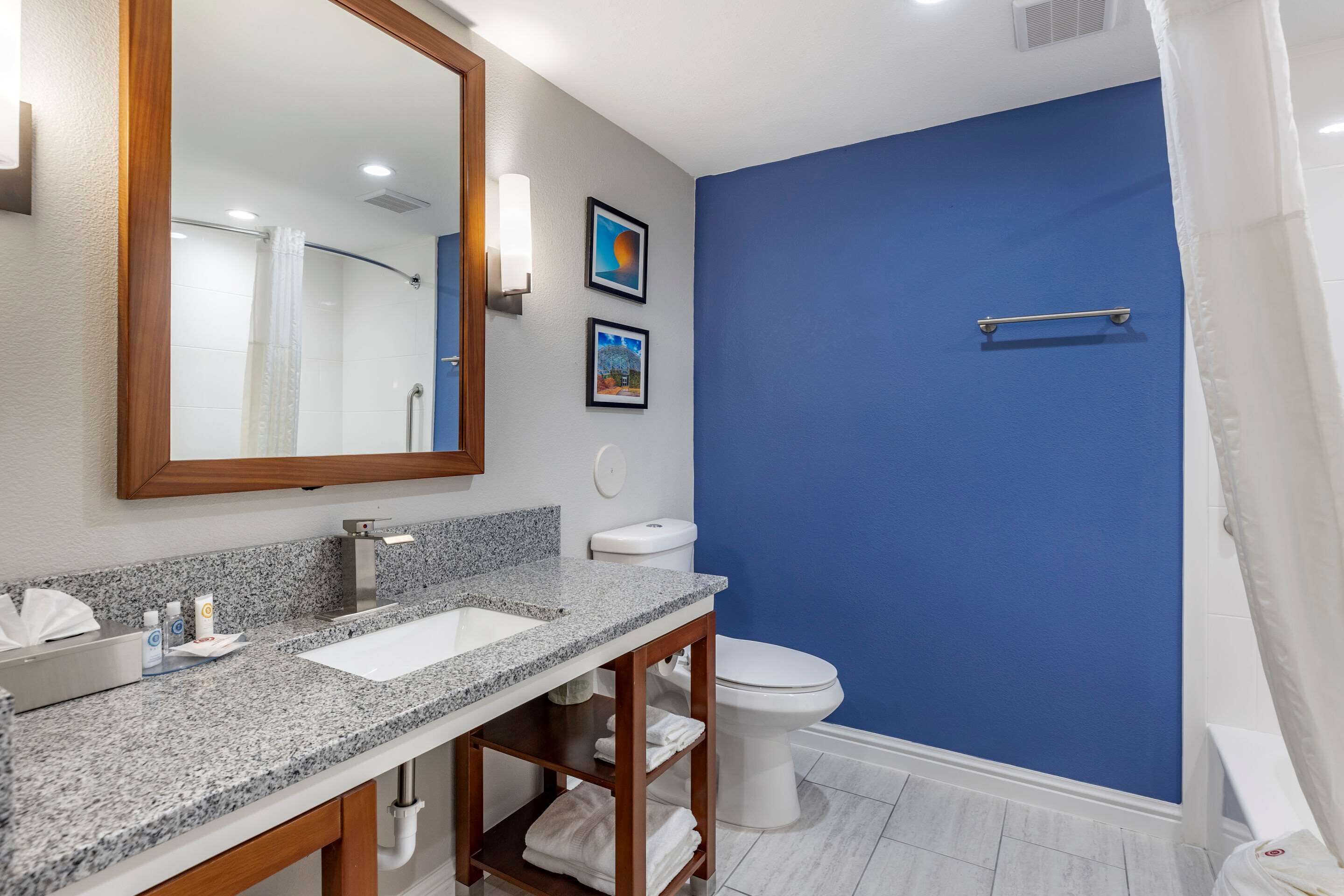 combined shower/bathtub, free toiletries, hair dryer, towels