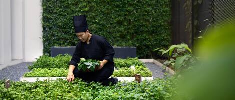 Una persona cuidando un jardín con bancales elevados y diversas plantas.