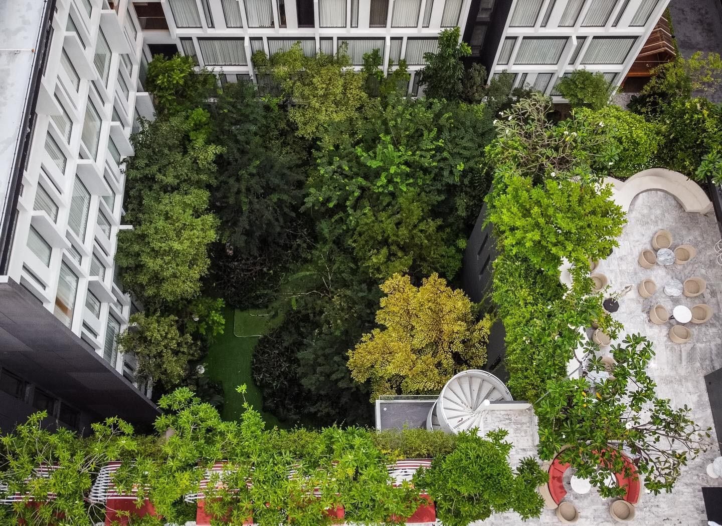 Un jardin sur le toit, agrémenté de divers arbres et plantes, entouré d’un immeuble doté de nombreuses fenêtres.