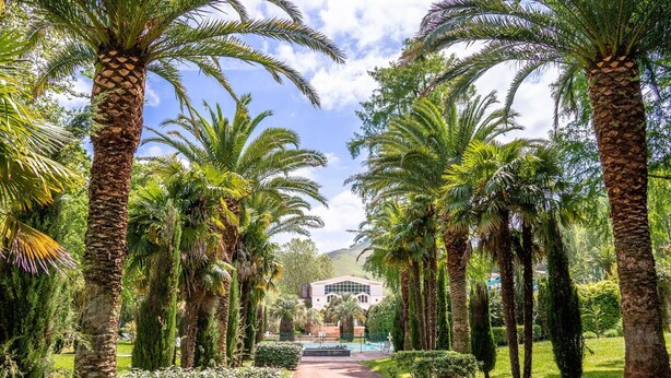Un sendero bordeado de palmeras que conduce a un edificio de diseño arquitectónico moderno.