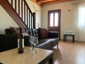 Smart TV, fireplace, books, video library