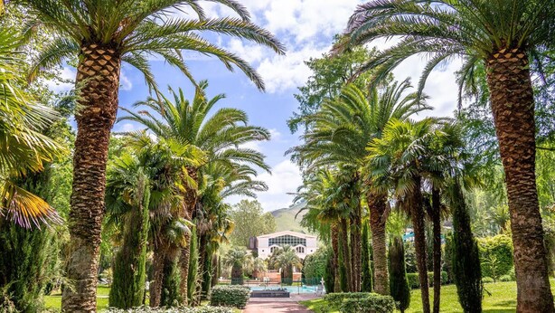 Un sendero bordeado de palmeras que conduce a un edificio de diseño arquitectónico moderno.