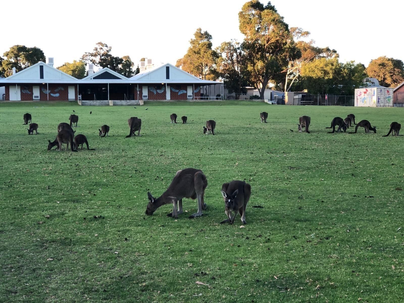 Tranquility and natural setting a short distance from town and beach — image 13