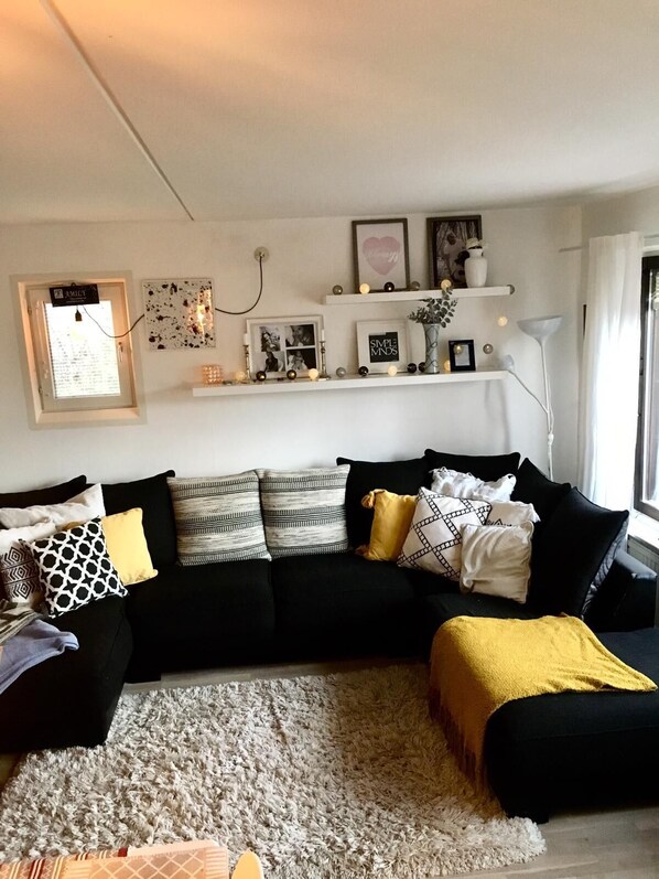 Televisión, reproductor de DVD, libros y estéreo 