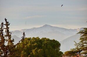 A mountain landscape with snow-capped peaks and dense green trees in the foreground. - La Corrala del Realejo (Granada)