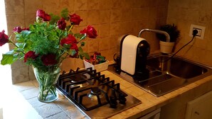 Una cocina con estufa a gas, tostadora y pileta. Hay un florero con flores rojas en la encimera.