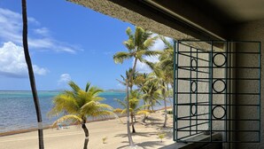 Une vue sur la plage, encadrée par une fenêtre avec un grillage métallique, des palmiers et un ciel bleu dégagé.
