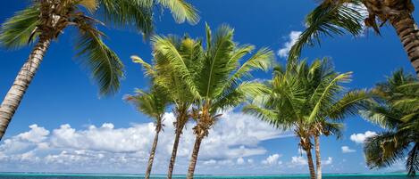 På stranden, liggestole, badehåndklæder