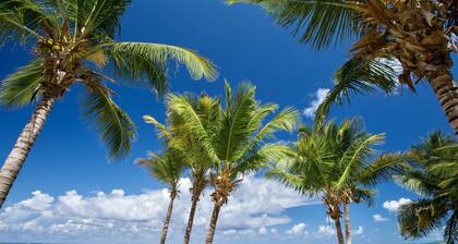 Deluxe Studio w/ Spectacular Carribean Sea View