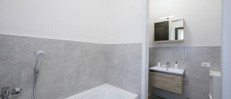 A modern bathroom with a bathtub, a shower, and a vanity with a mirror.