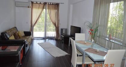 lovely condo close to the beach