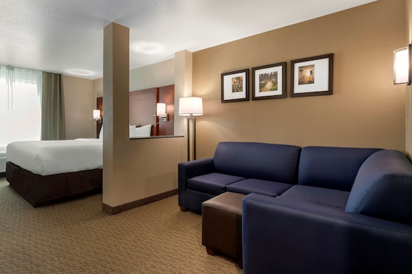 Standard Suite, 1 King Bed with Sofa bed, Non Smoking | Premium bedding, down comforters, pillowtop beds, desk