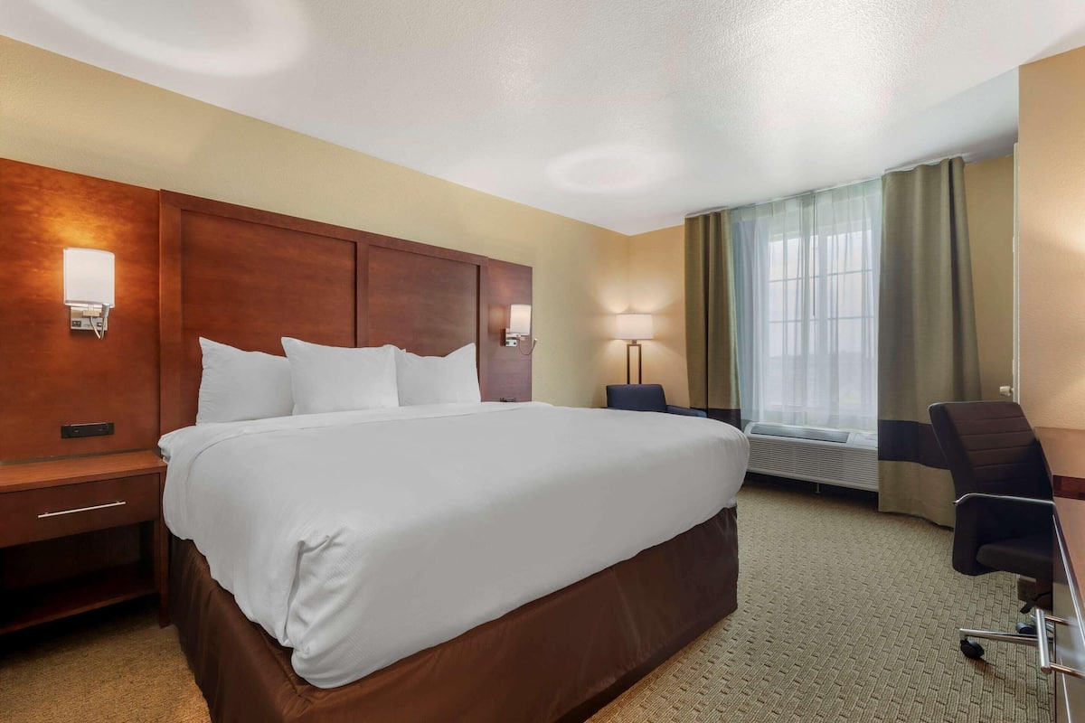 Premium bedding, down duvets, pillow-top beds, desk