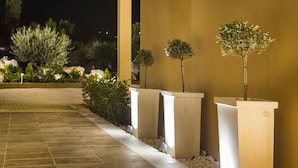 Un espacio exterior bien iluminado con un camino empedrado, jardineras con árboles pequeños y un edificio con columnas.