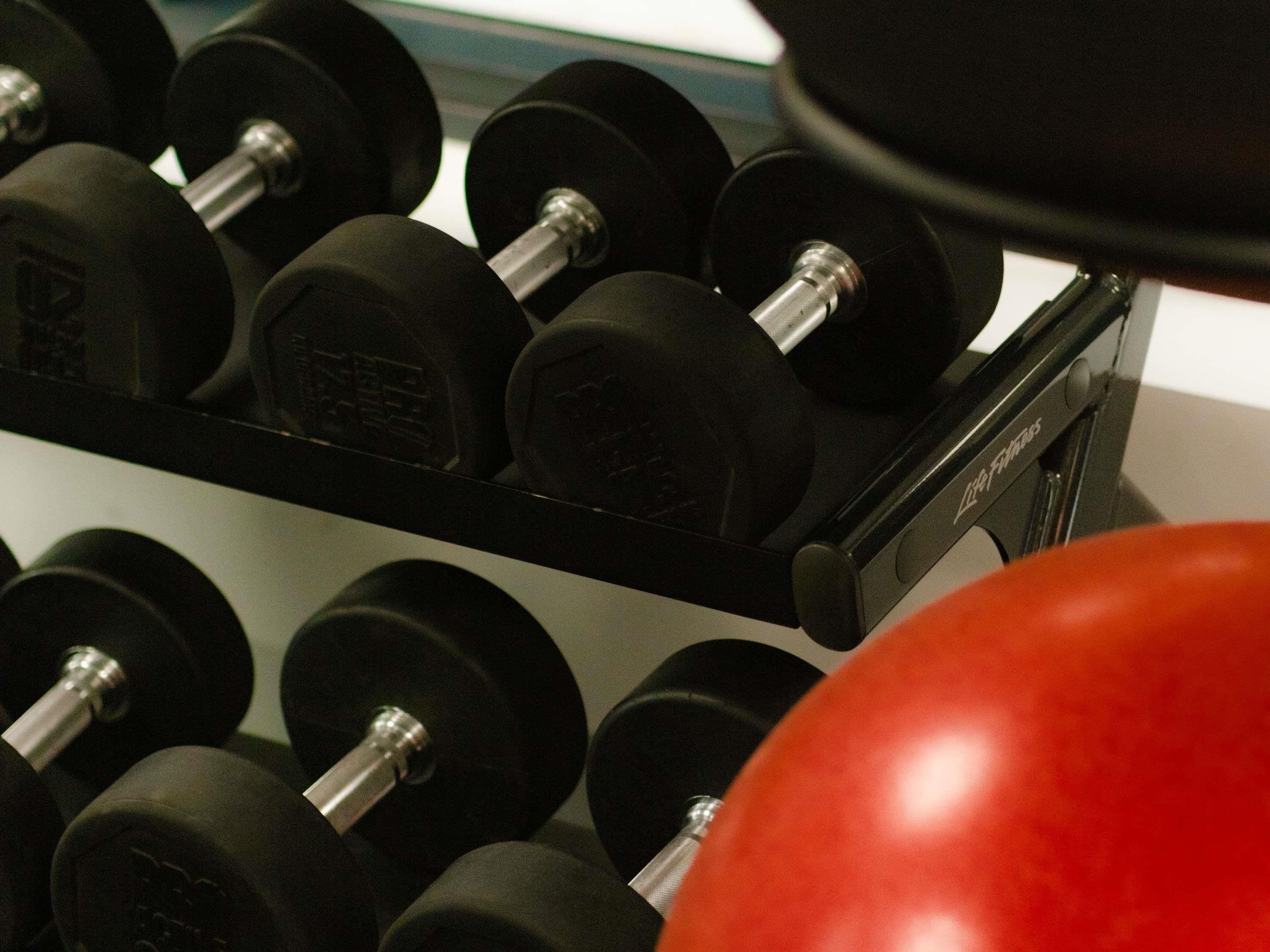 A rack of black dumbbells with weight markings, a red exercise ball, and a black exercise machine.