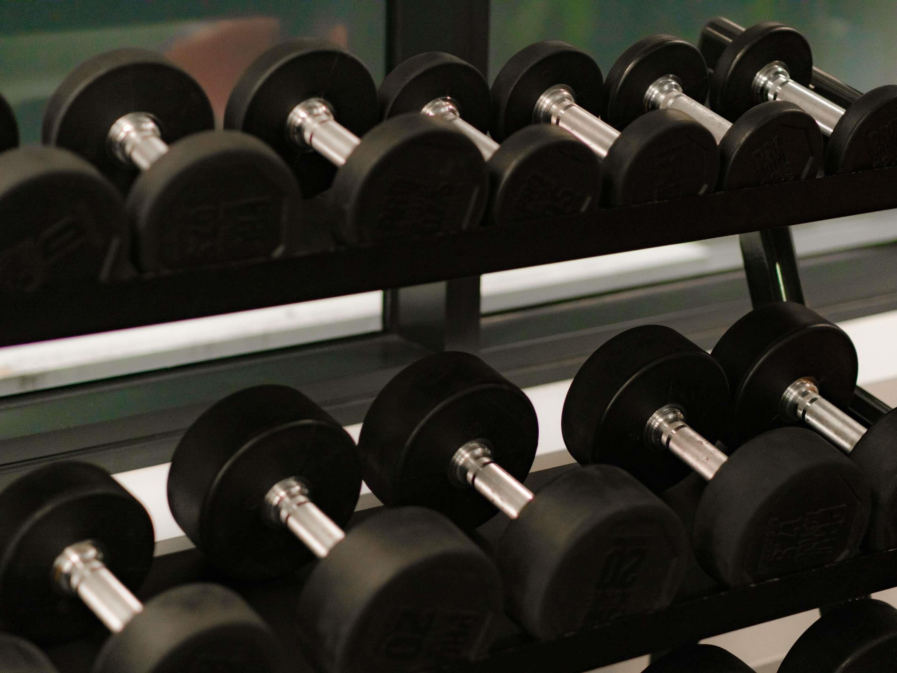 A rack of black dumbbells with silver weights.