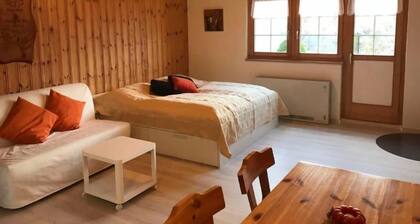 Ferienwohnung Obersaxen (alle) für 1 - 4 Personen - Ferienwohnung