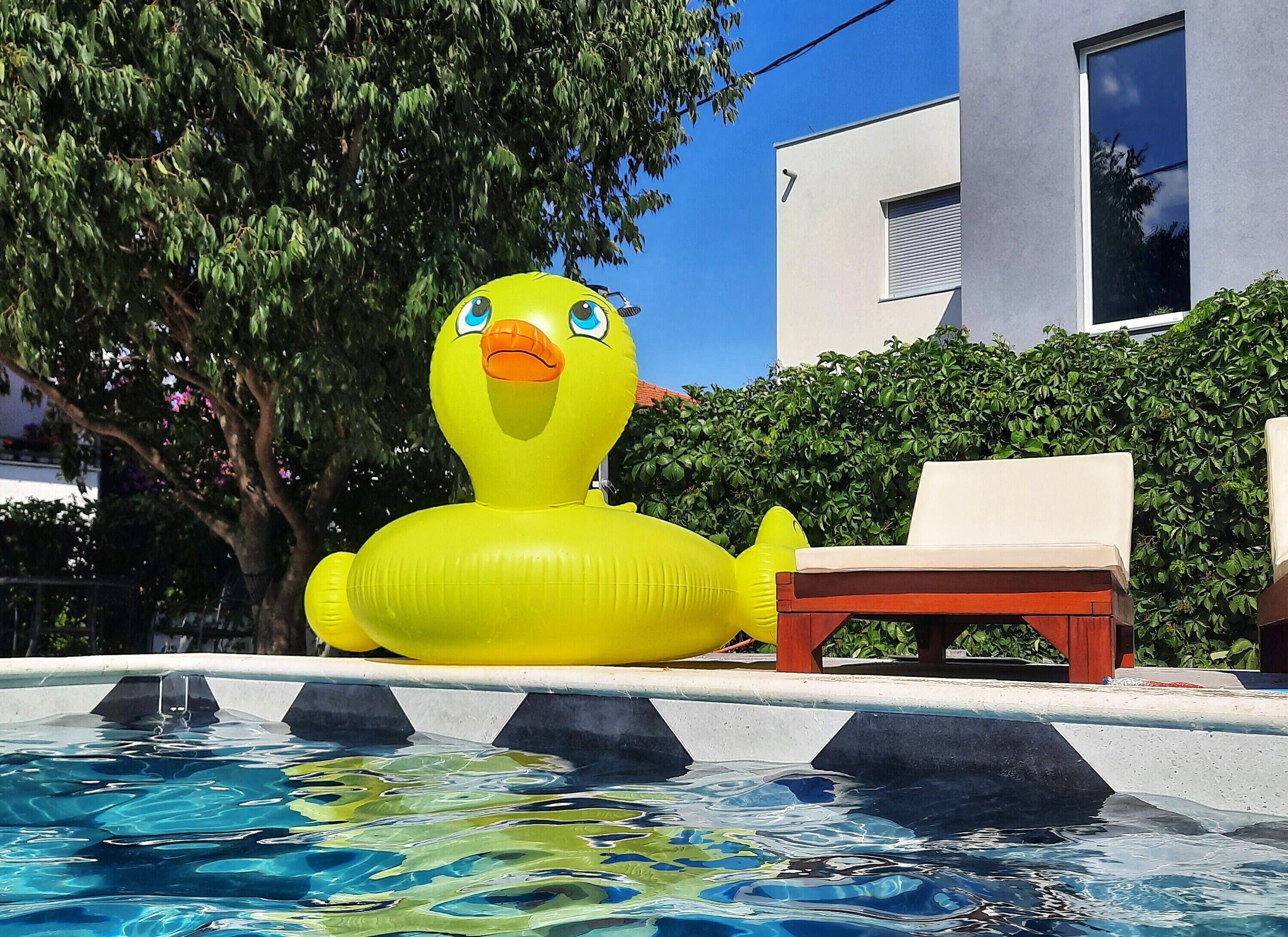 House | Pool | Outdoor pool